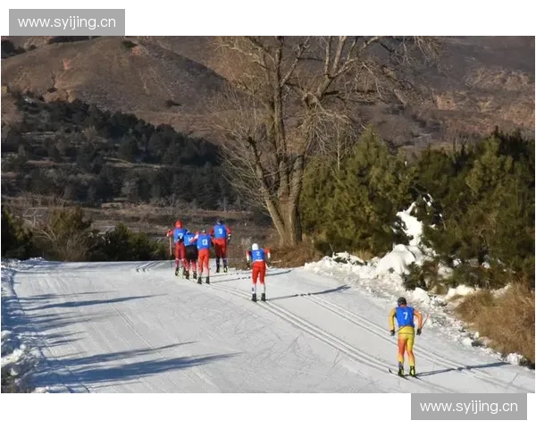 探索越野滑雪的魅力与挑战从基础技巧到高级赛事的全面解析